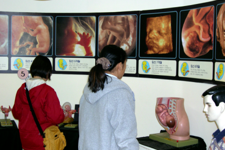 2003